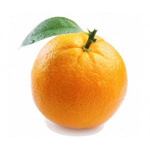 Портокал/кг